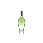 گلدان آپارتمانی تیلادنسیا - تصویر 2